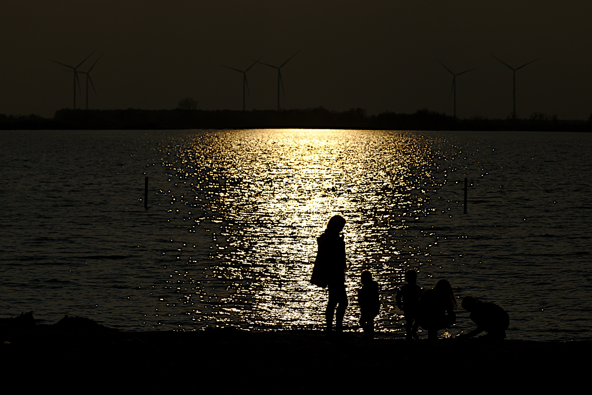Dümmer See - Strandleben im Gegenlicht