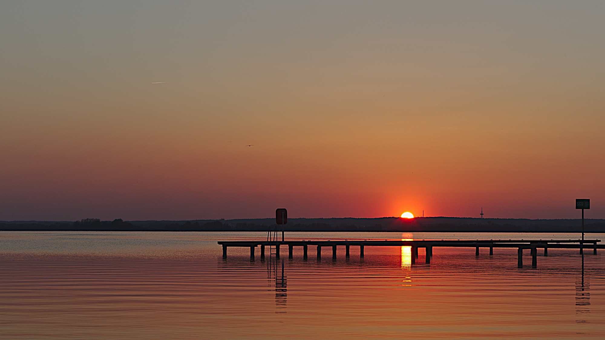 Sonnenuntergang am Dümmer See