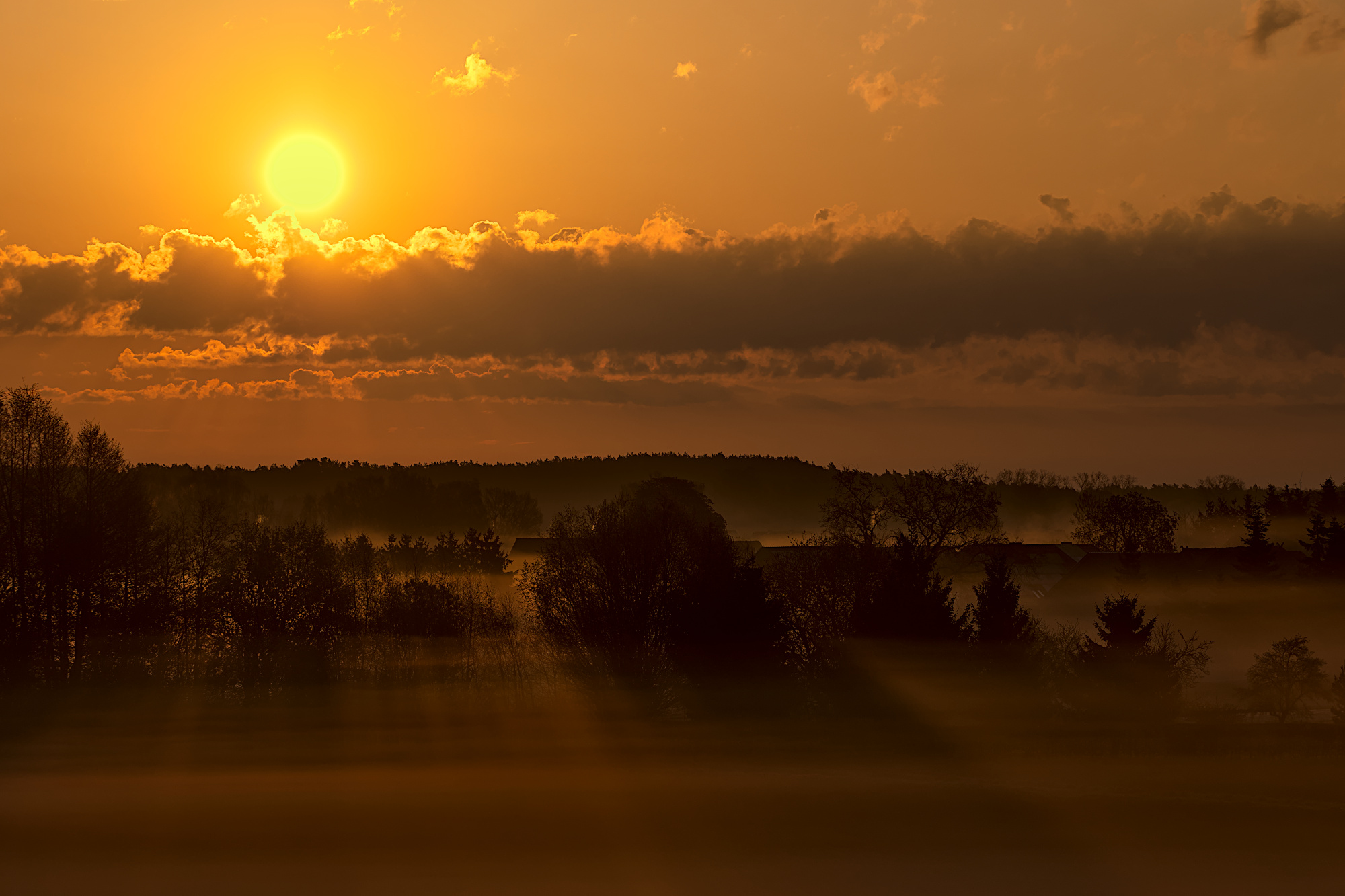 Sonnenaufgang in der Lewitz