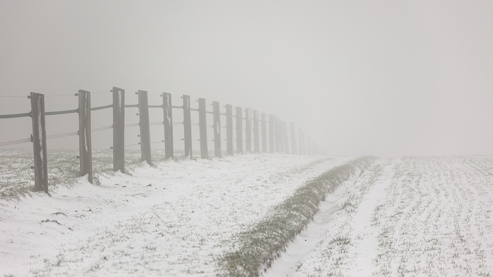Nebel und Schnee