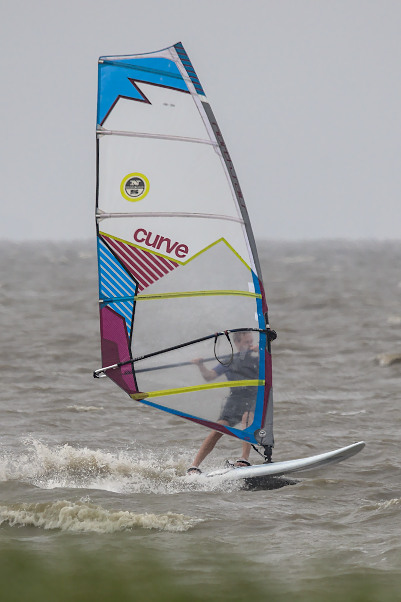 Windsurfer