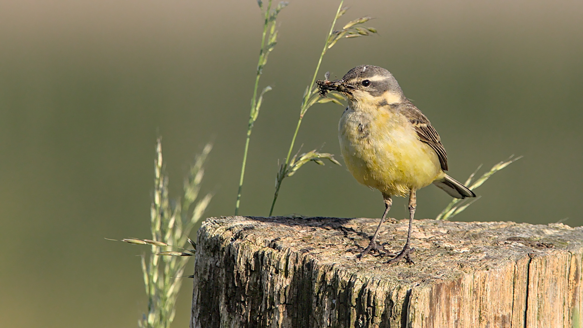 "Ob das für meine kleinen reicht?"
