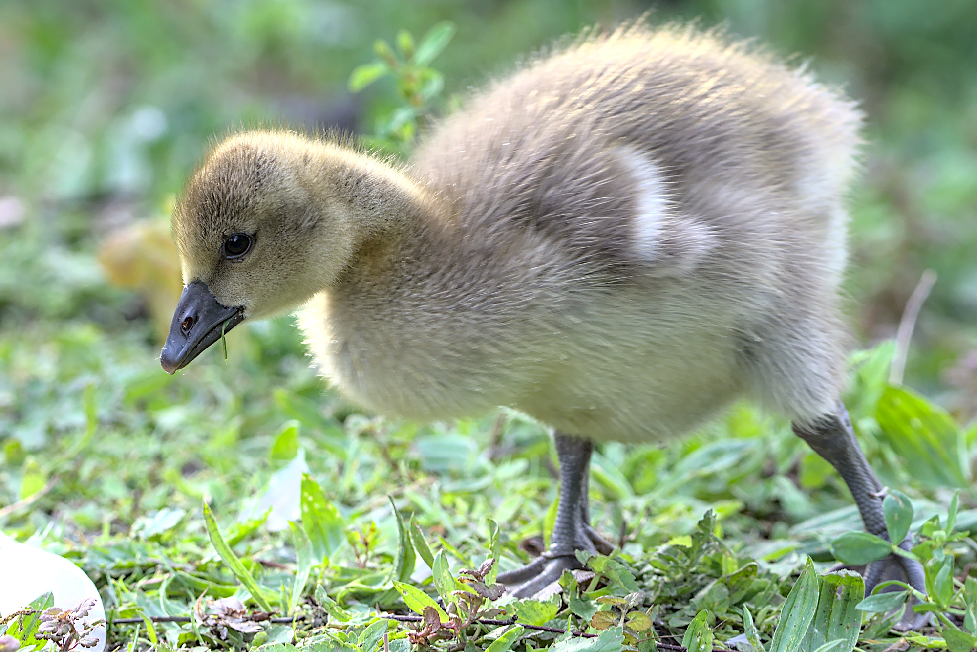 "Was gibt es da leckeres?"