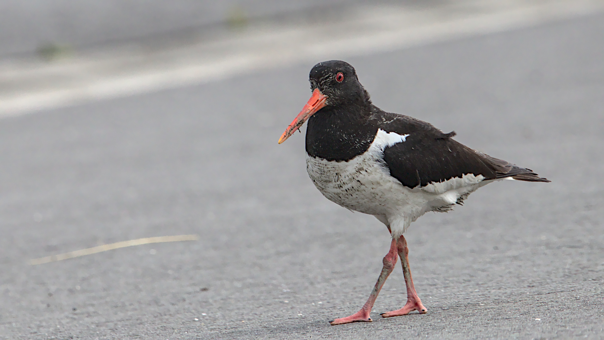 "Warum zielt der mit dem Riesenteil auf mich?"