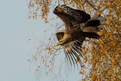 2025-11-05-16.03.58.050_EOS-R7_0189-DxO_DeepPRIME-XD2s_web