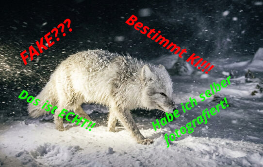 Fake? Ki? Photoshop? Oder doch echt? Was kann man noch glauben?