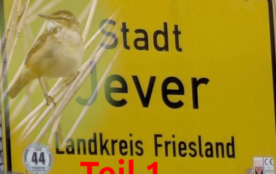 Jever - Ein Kurzurlaub (Teil 1)